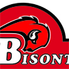 Bisonte restaurant brand